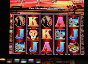 HB火博·体育官方正版手游手机版